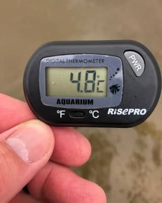 Thermometer zeigt 4,8°C Wassertemperatur an