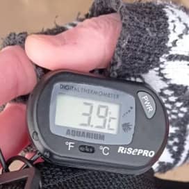 Thermometer zeigt Wassertemperatur von 4°C an