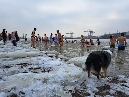 Menschen tümmeln in der eiskalten Elbe.