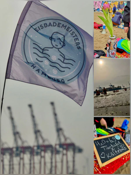 Vier Bilder: 1. Fahne der Eisbademeisters Hamburg weht am Elbstrand. 2. Tulpe in Blumenvase auf einem Tisch. 3. Menschen in der kalten Elbe 4. Schild mit Hinweis der Wassertemperatur 6,9 Grad und das für Kältebus und für die Tiertafel Spenden "erbadet" werden.